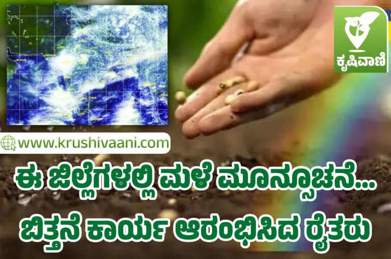 ಈ ಜಿಲ್ಲೆಗಳಲ್ಲಿ ಮಳೆ ಮೂನ್ಸೂಚನೆ… ಬಿತ್ತನೆ ಕಾರ್ಯ ಆರಂಭಿಸಿದ ರೈತರು