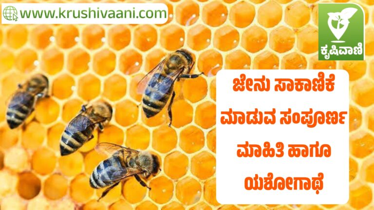 ಜೇನು ಸಾಕಾಣಿಕೆ ಮಾಡುವ ಸಂಪೂರ್ಣ ಮಾಹಿತಿ ಹಾಗೂ ಯಶೋಗಾಥೆ