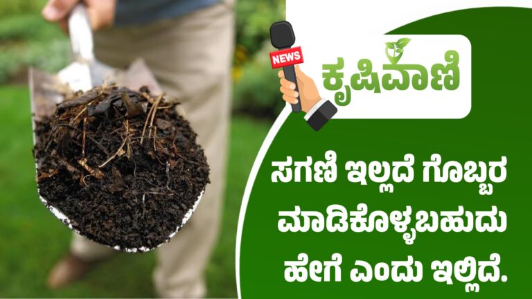 compost: ಸಗಣಿ ಇಲ್ಲದೆ ಗೊಬ್ಬರ ಮಾಡಿಕೊಳ್ಳಬಹುದು ಹೇಗೆ ಎಂದು ಇಲ್ಲಿದೆ