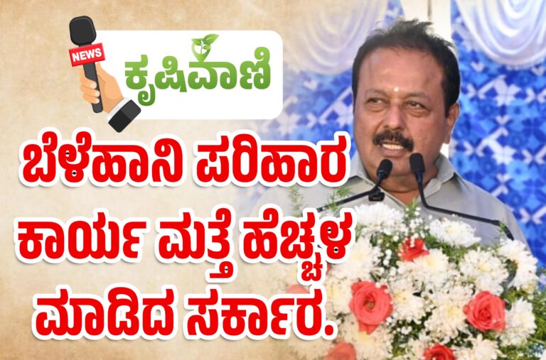 ಬೆಳೆಹಾನಿ ಪರಿಹಾರ ಕಾರ್ಯ ಮತ್ತೆ ಹೆಚ್ಚಳ ಮಾಡಿದ ಸರ್ಕಾರ.