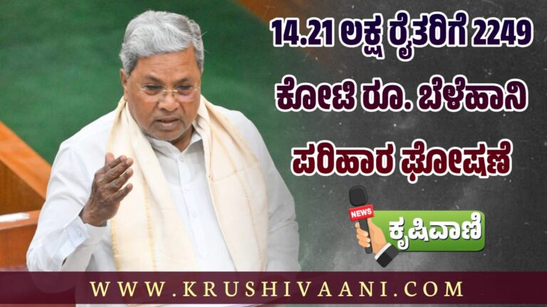 14.21 ಲಕ್ಷ ರೈತರಿಗೆ 2249 ಕೋಟಿ ರೂ. ಬೆಳೆಹಾನಿ ಪರಿಹಾರ ಘೋಷಣೆ