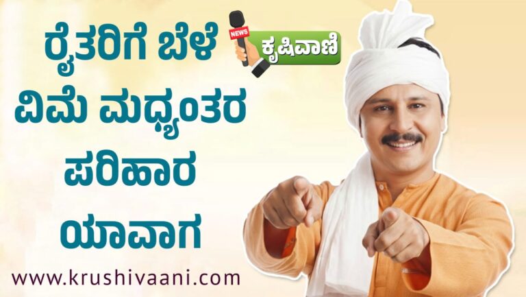 Crop Insurance: ರೈತರಿಗೆ ಬೆಳೆ ವಿಮೆ ಮಧ್ಯಂತರ ಪರಿಹಾರ ಯಾವಾಗ