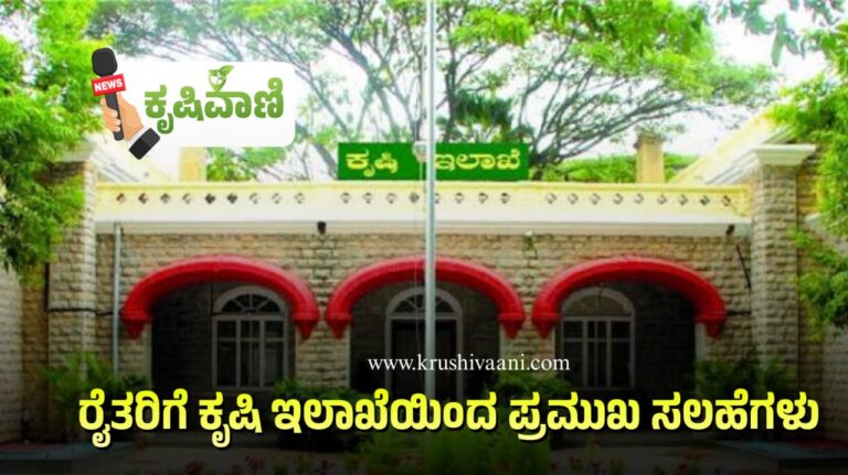 ರೈತರಿಗೆ ಕೃಷಿ ಇಲಾಖೆಯಿಂದ ಪ್ರಮುಖ ಸಲಹೆಗಳು